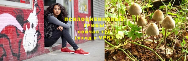 спайс Алексин