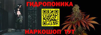 твердый Брянск